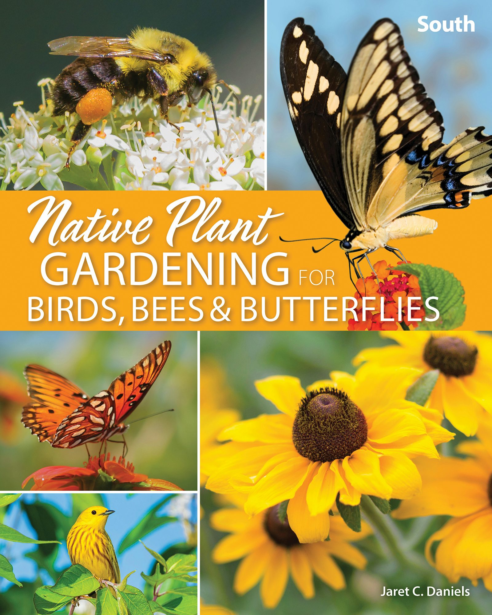 Book cover image for Native Plant Gardening for Birds, Bees & Butterflies: South ISBN: 9781647551889